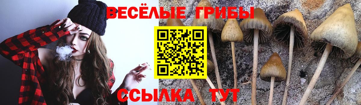 Псилоцибиновые грибы Magic Shrooms  Вход с VPN  хочу наркоту  Псилоцибиновые грибы мухоморы  Карачаевск 
